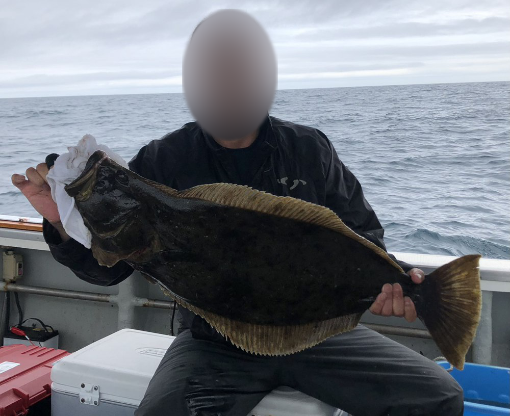 大きなヒラメを釣り上げた様子