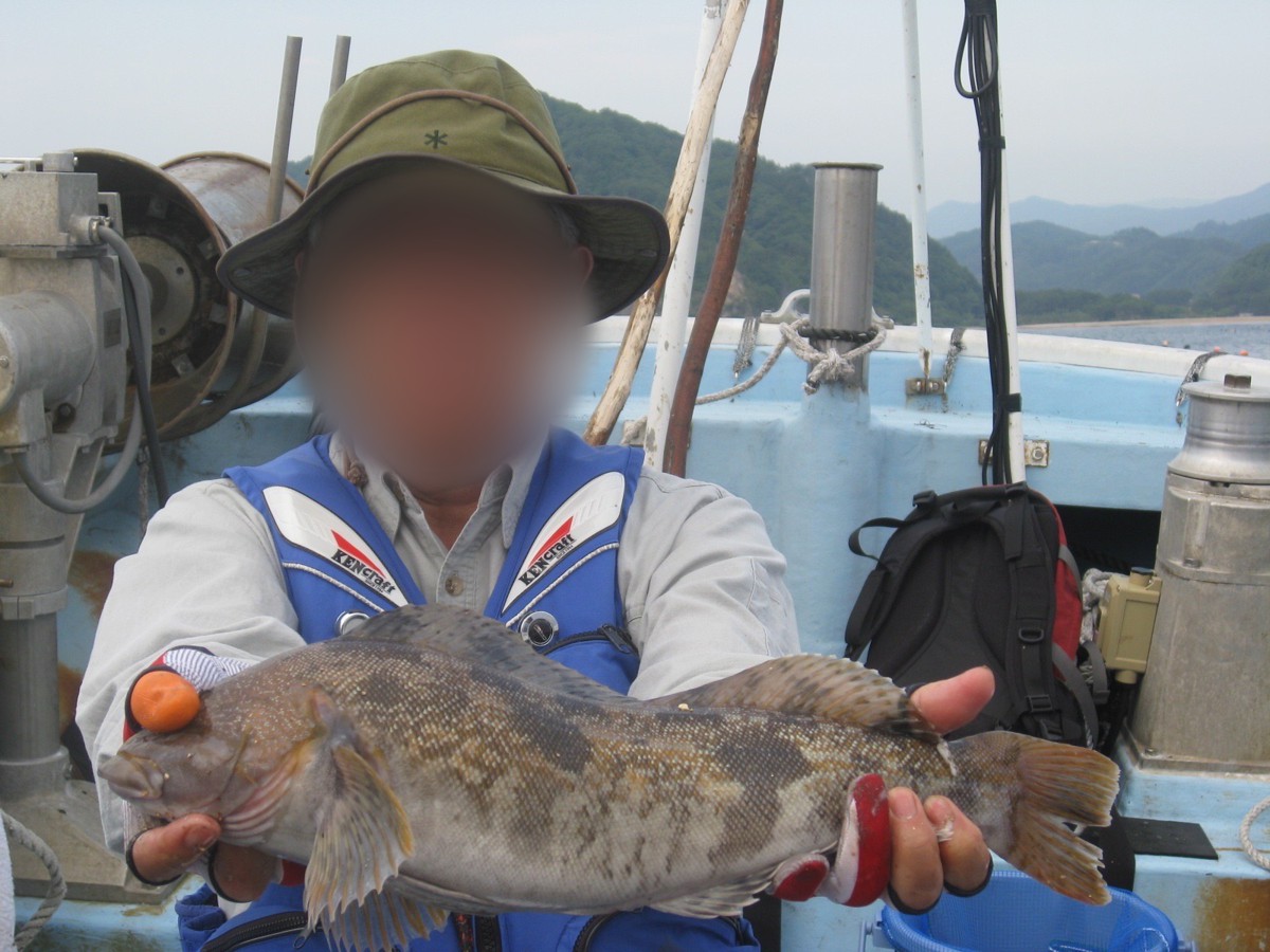 ロックフィッシュの釣果