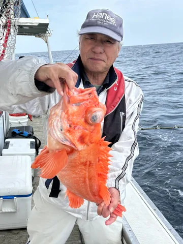 翔光丸のギャラリー写真 45