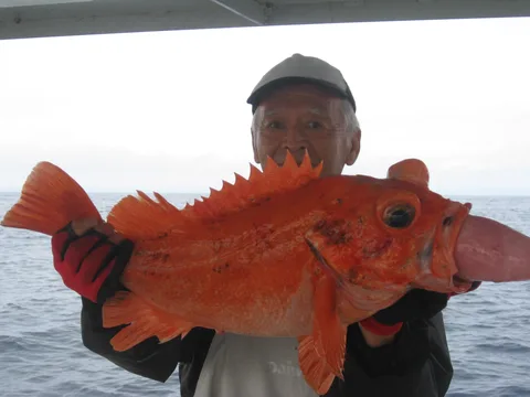 翔光丸のギャラリー写真 1